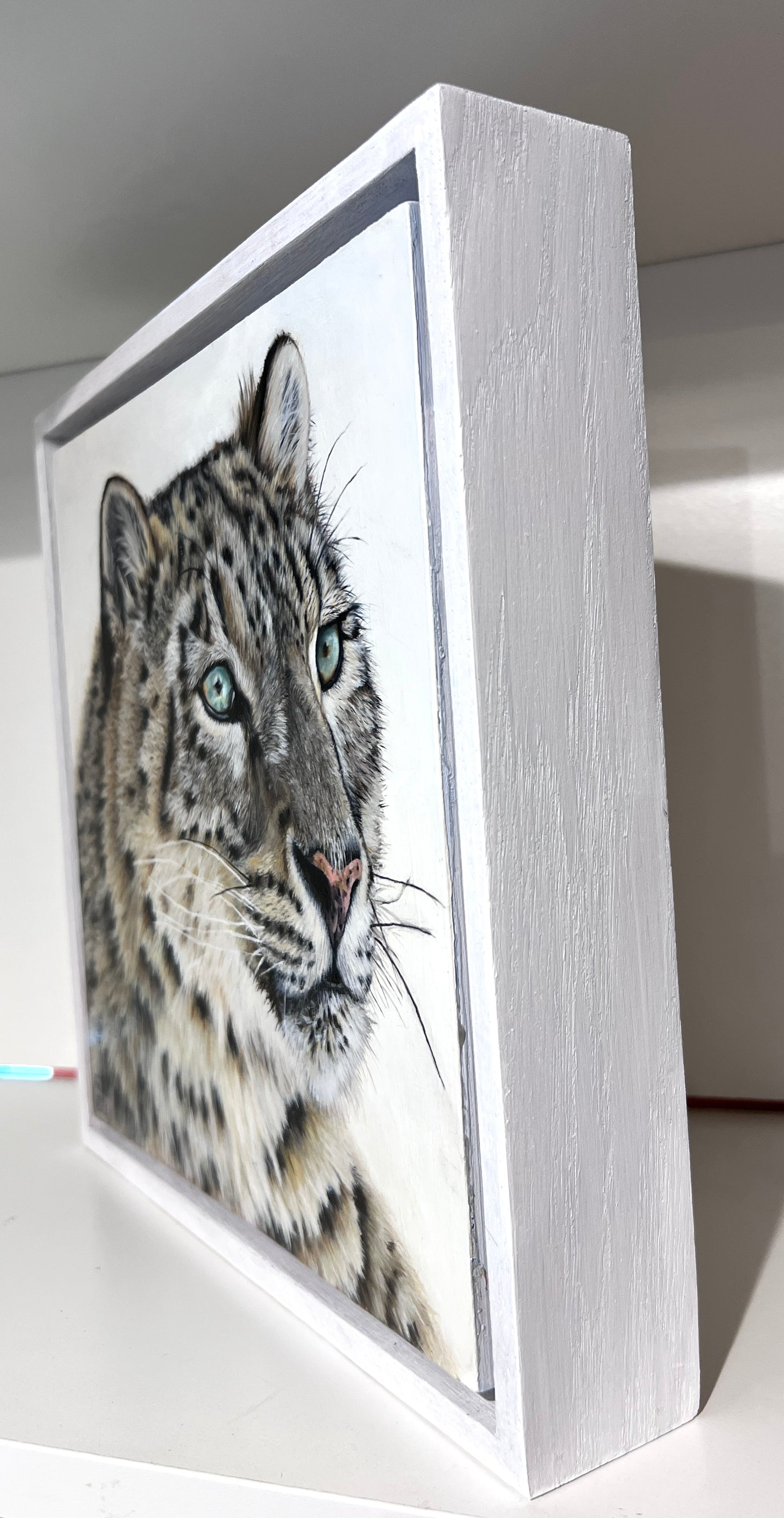 Snow Leopard