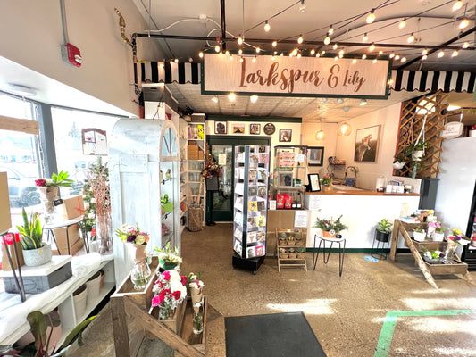 Art now available In Store!!