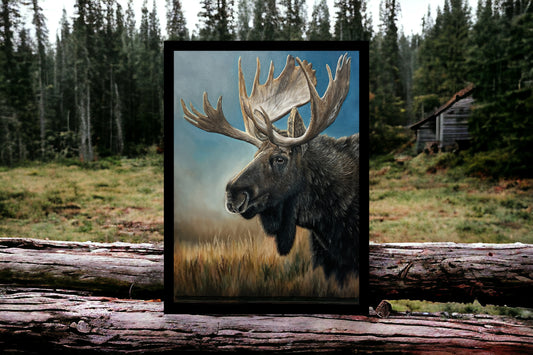 Bull Moose