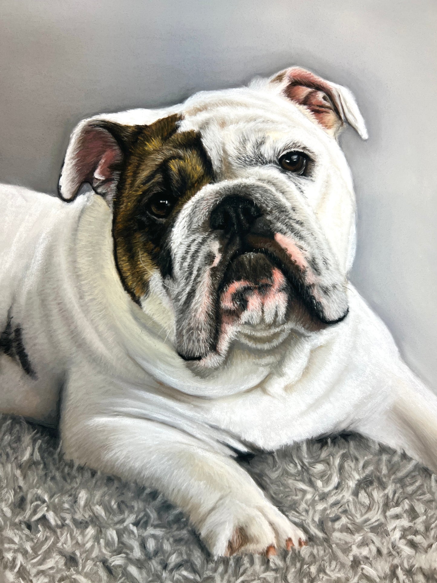 Pet Portrait Commissions