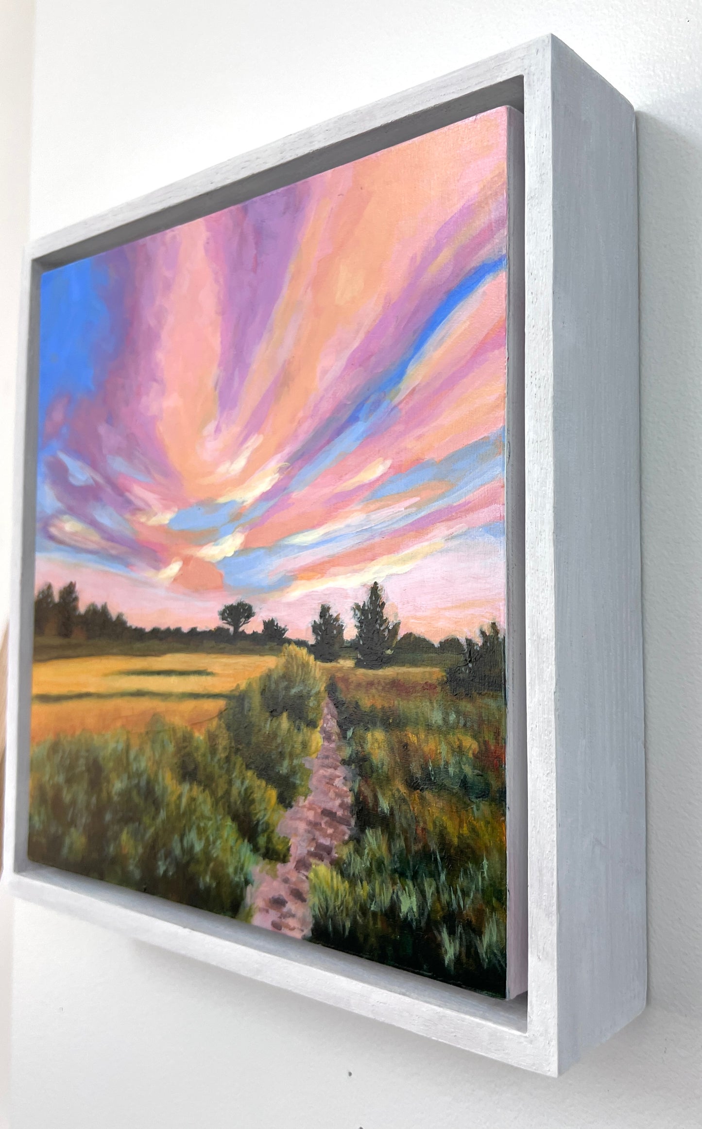 Summer Meadow