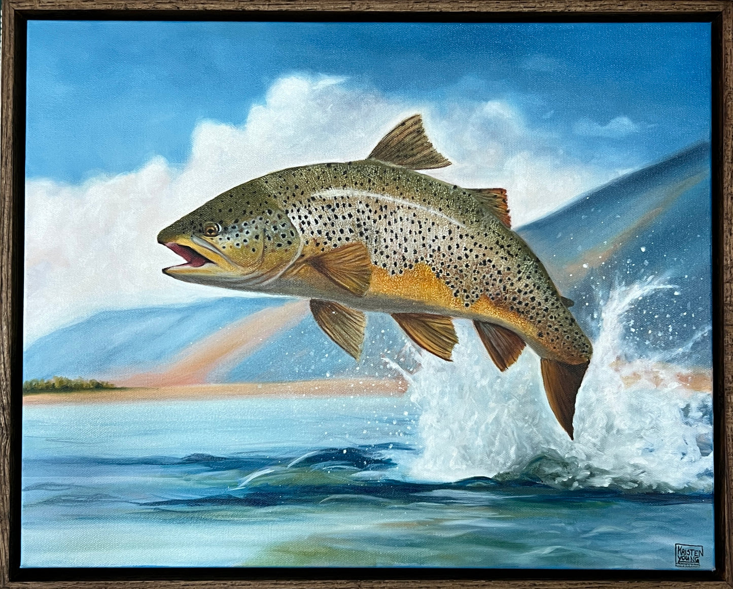 Brown Trout