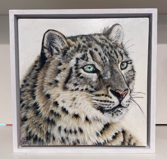 Snow Leopard