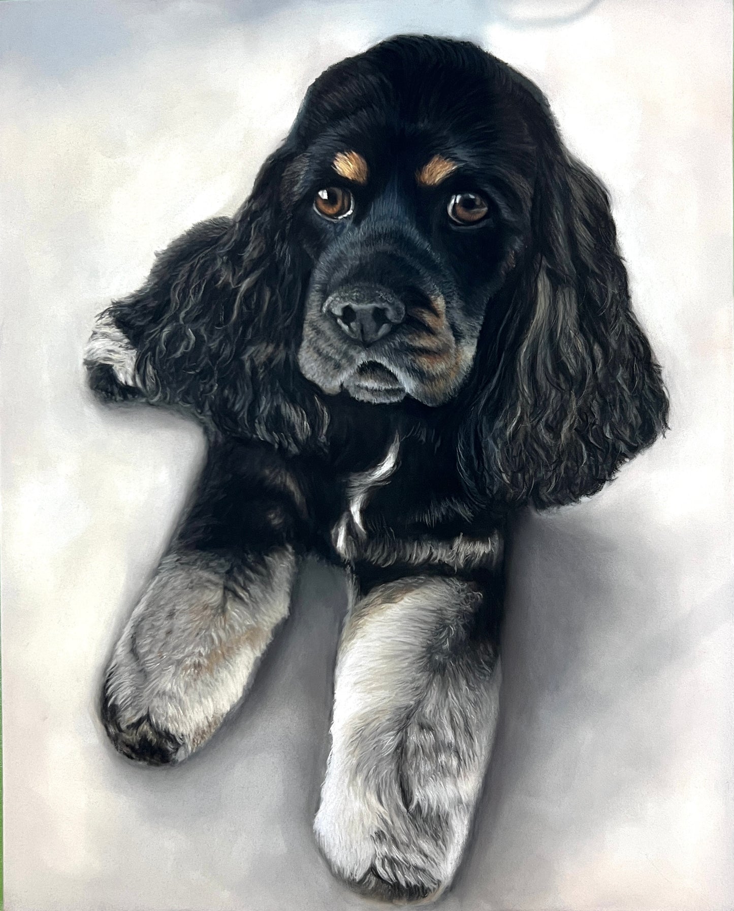 Pet Portrait Commissions