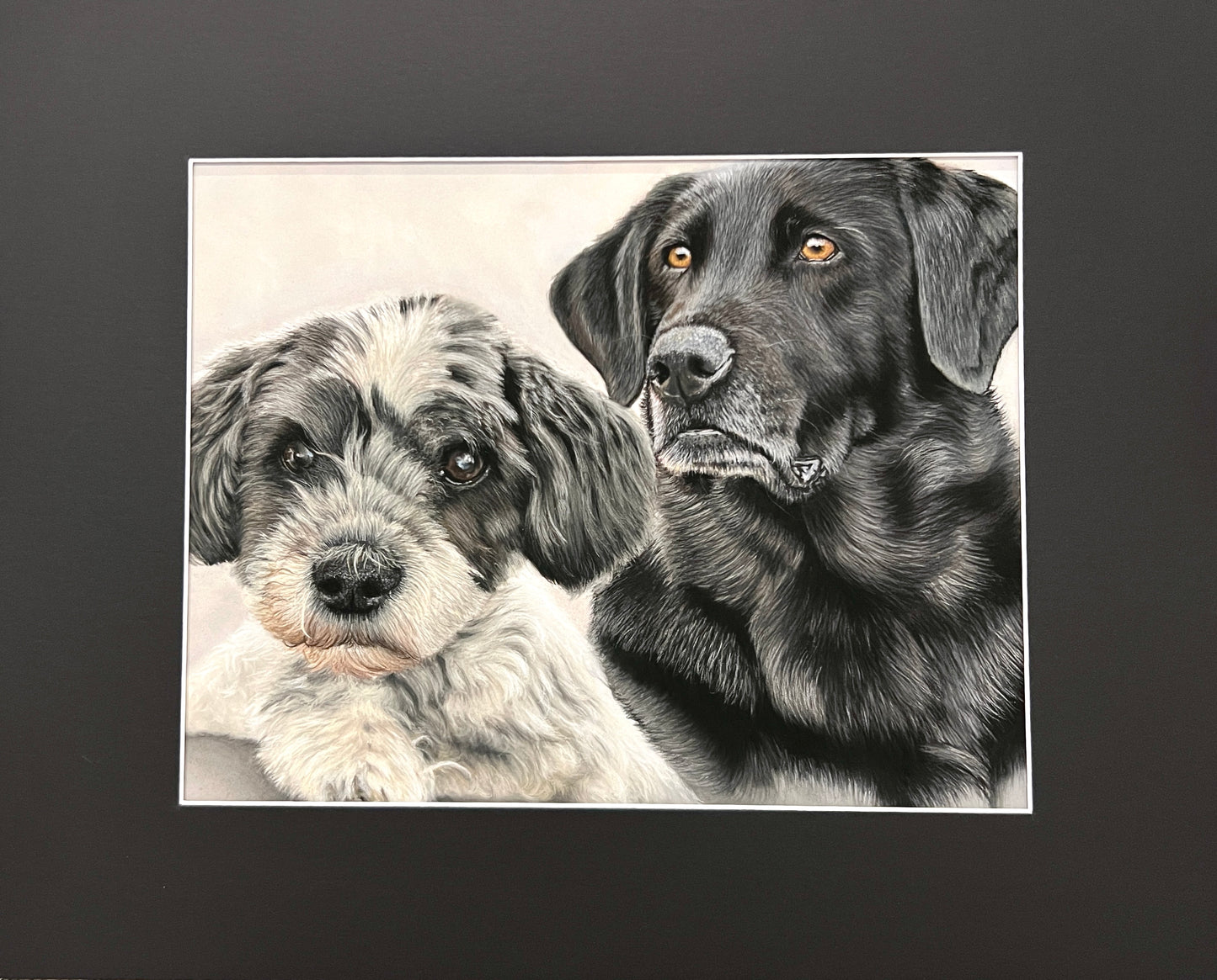 Pet Portrait Commissions