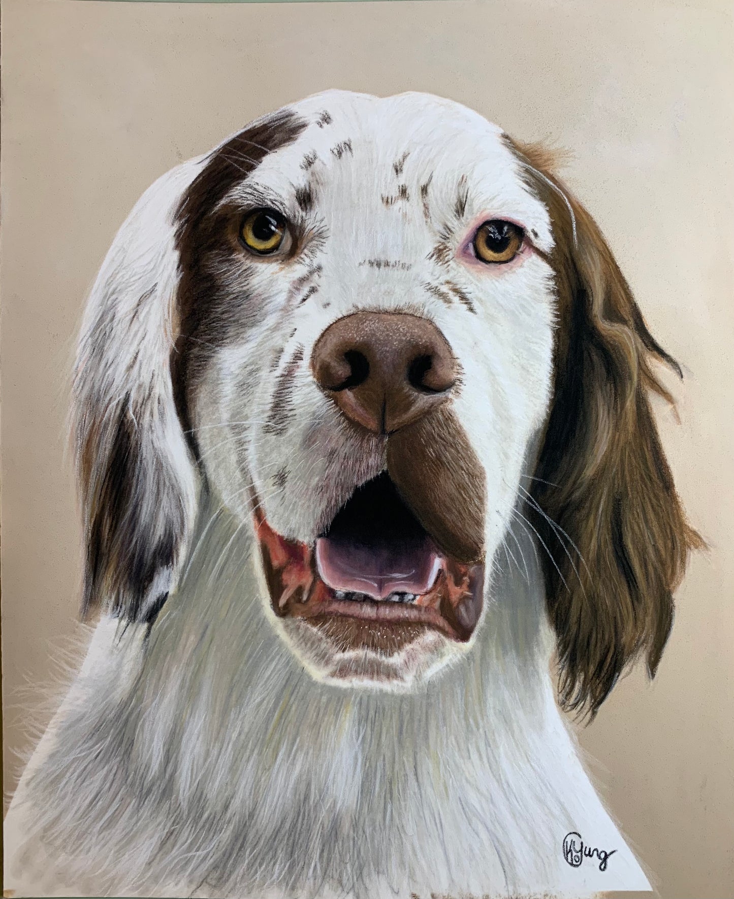 Pet Portrait Commissions