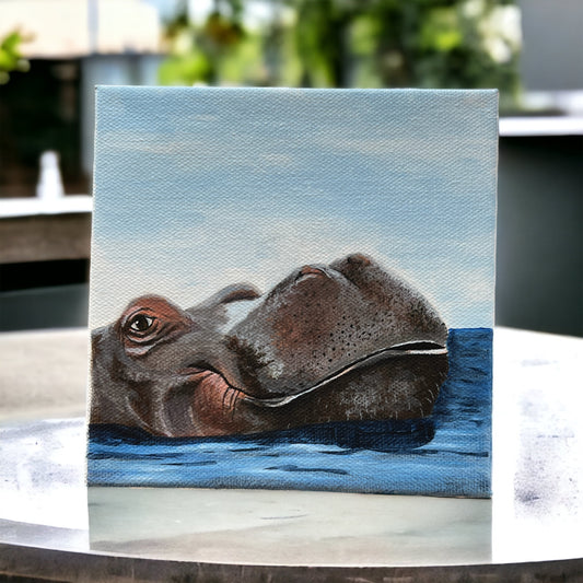 Swimming Hippo