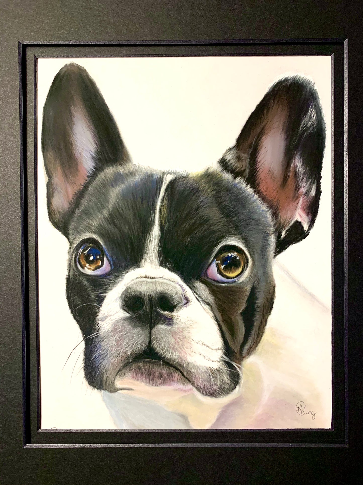 Pet Portrait Commissions