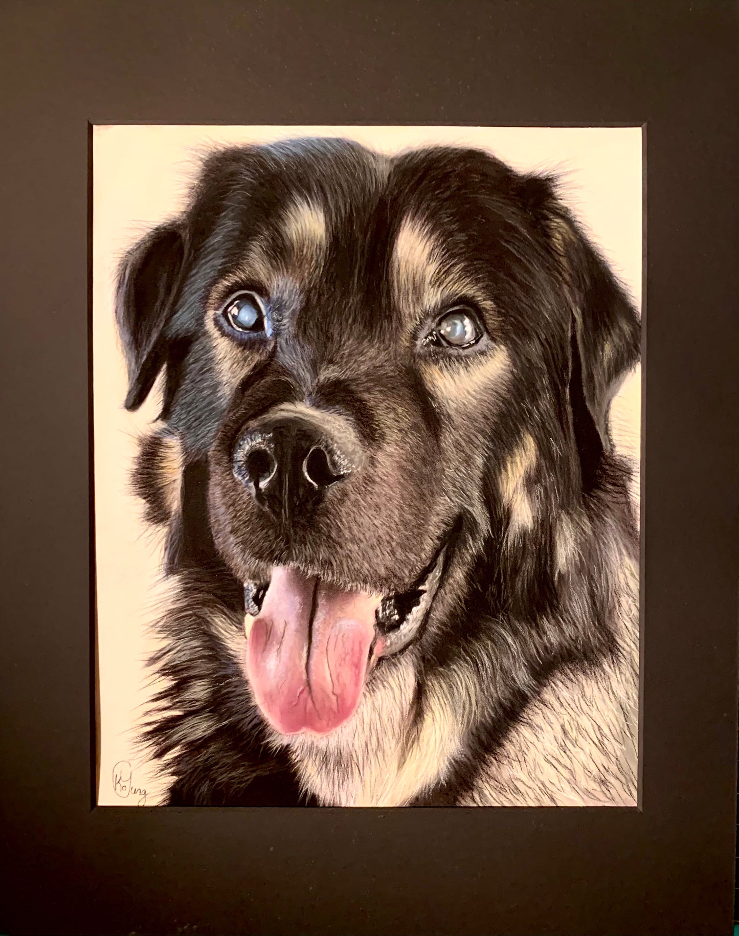 Pet Portrait Commissions