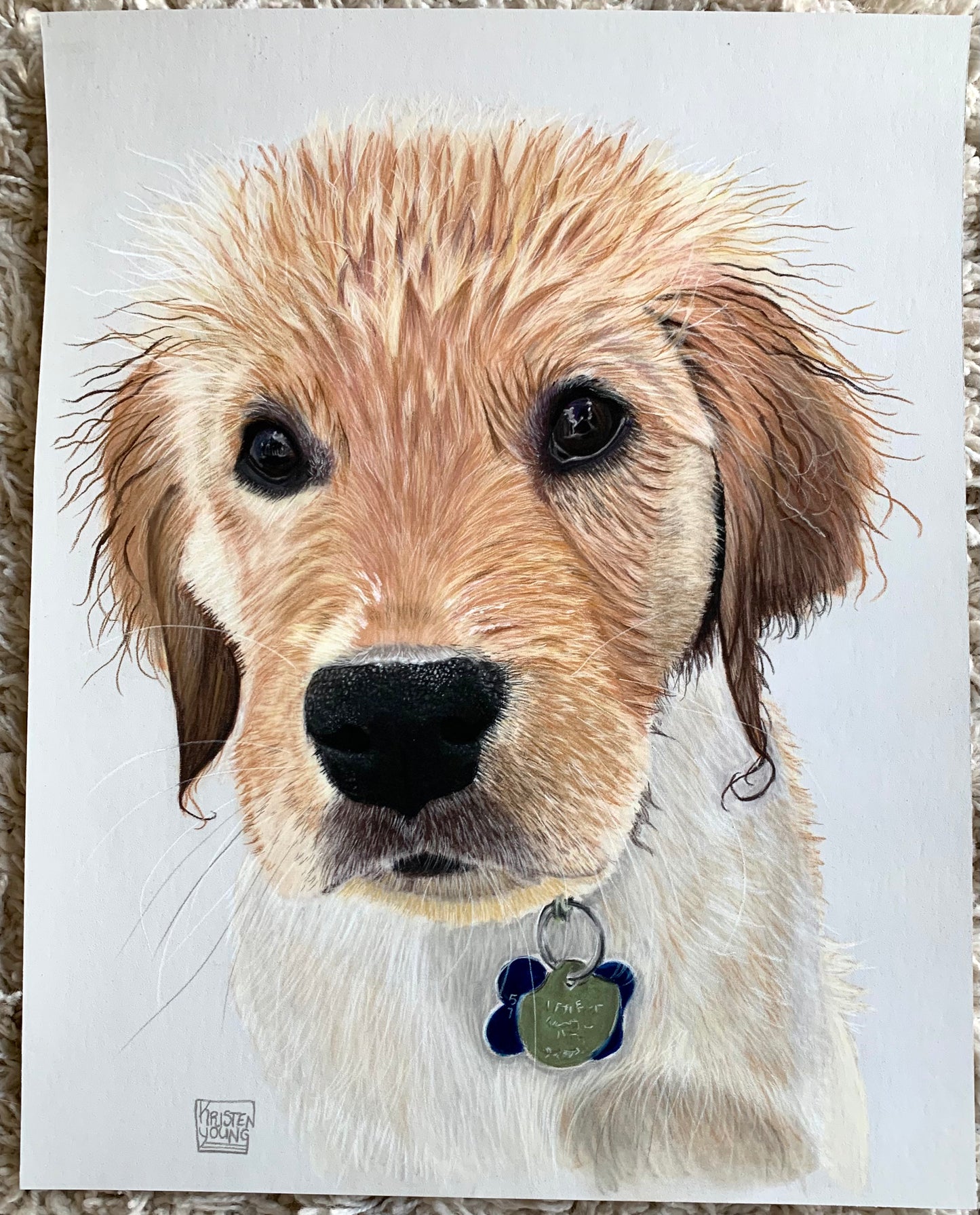 Pet Portrait Commissions