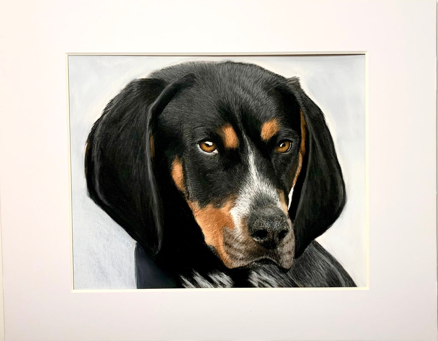 Pet Portrait Commissions