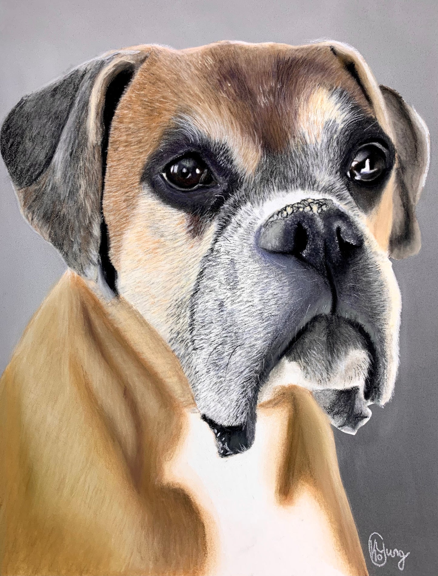 Pet Portrait Commissions